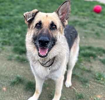 Photo of Thor 