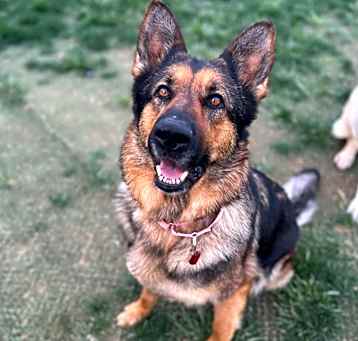 Photo of Maggie