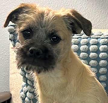 Photo of Quintin