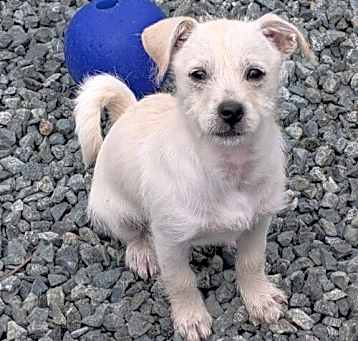 Photo of Orla McCool