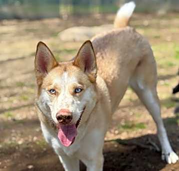 Photo of Harper