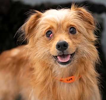 Photo of Harley