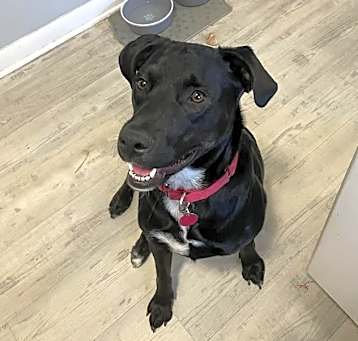 Photo of SUGAR