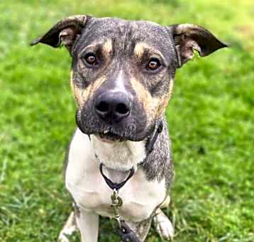 Photo of FRITO