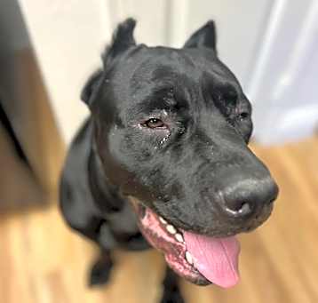 Photo of Ares