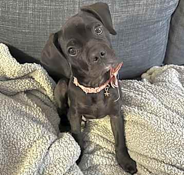 Photo of Betty