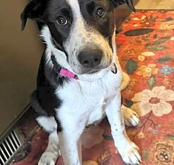 Photo of Elsie