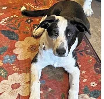 Photo of Evelyn