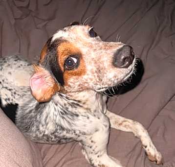 Photo of Jasper