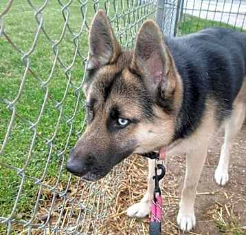 Photo of Maya