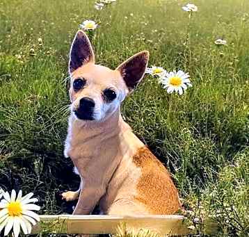 Photo of Ginny