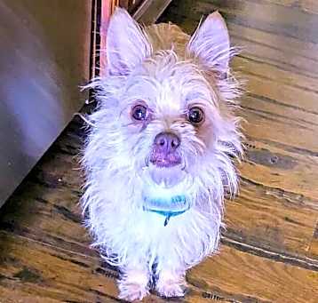 Photo of Lizzy