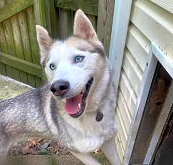 Photo of Elsa