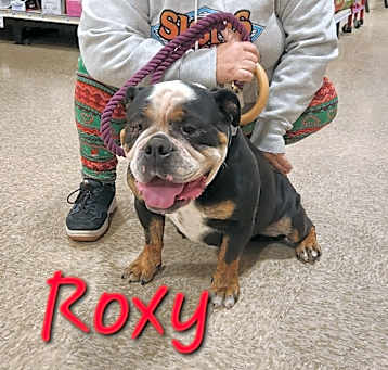 Photo of Roxy
