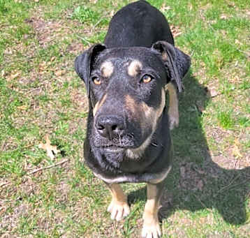 Photo of Fritz