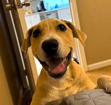 Photo of Butter
