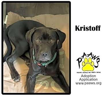 Photo of Kristoff