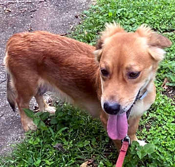 Photo of LESLY