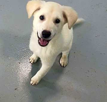 Photo of Olaf