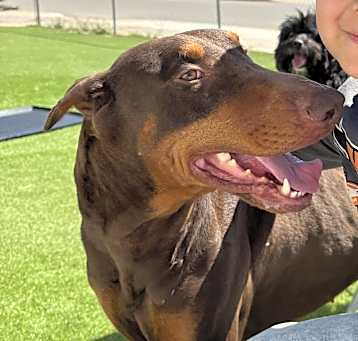 Photo of Zeus