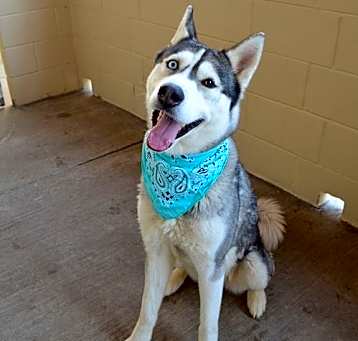 Photo of Nyx
