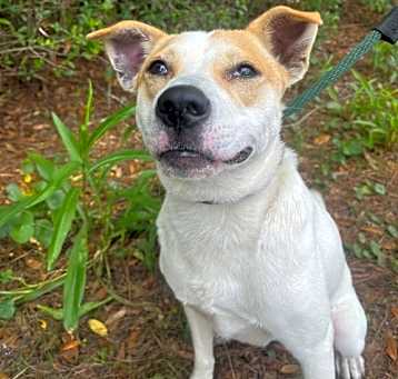 Photo of Rugrat