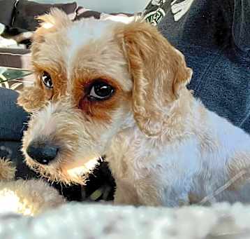 Photo of Nelly