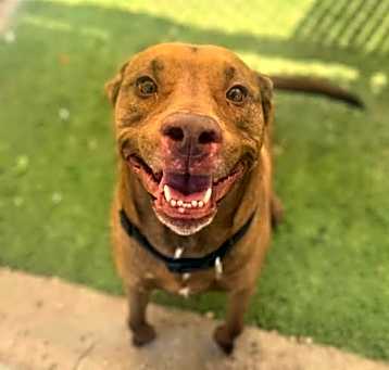 Photo of KAIZER