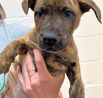 Photo of Lennox