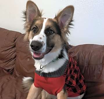 Photo of Tilly
