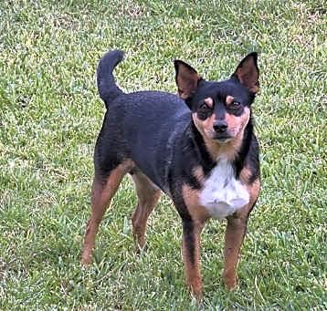 Photo of Java