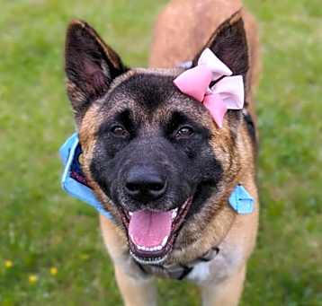 Photo of Kiki