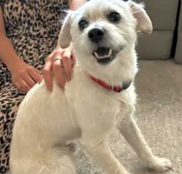 Photo of Falkor aka Buddy