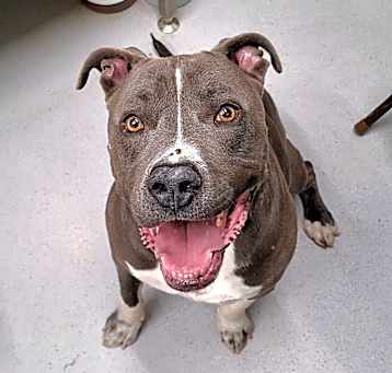 Photo of Cash