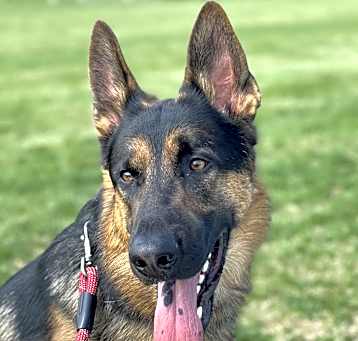 Photo of Hero
