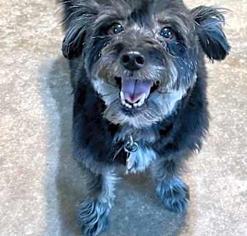 Photo of Pepper
