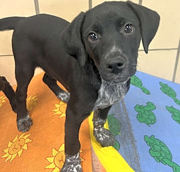 Photo of Winnie