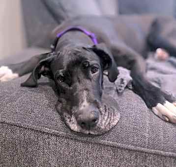 Photo of Paula (AKA Layla)