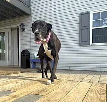 Photo of Paula (AKA Layla)