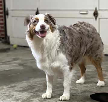 Photo of Calli