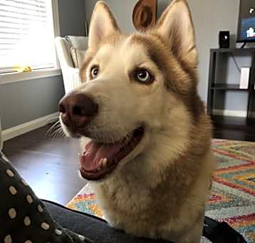 Photo of Kobe