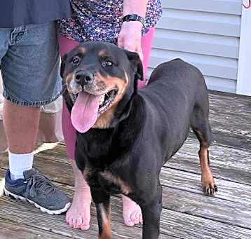 Photo of RUBY