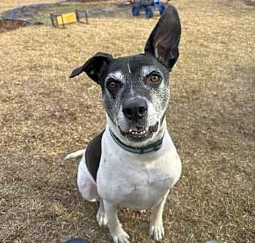Photo of Rocket