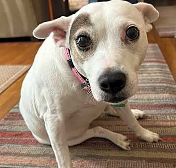 Photo of Miss Sadie 