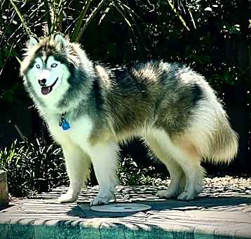 Photo of Wyatt