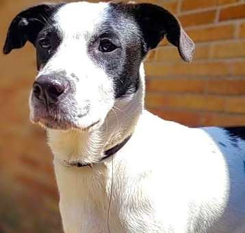 Photo of Bessy