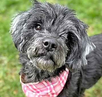 Photo of Betsy