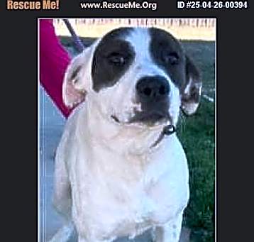 Photo of Baxter
