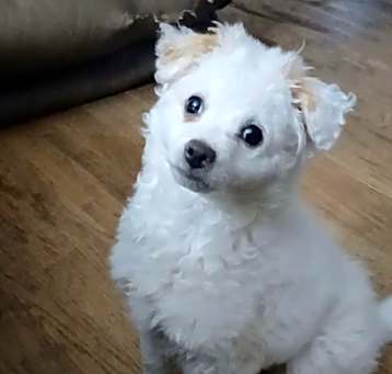 Photo of Jett