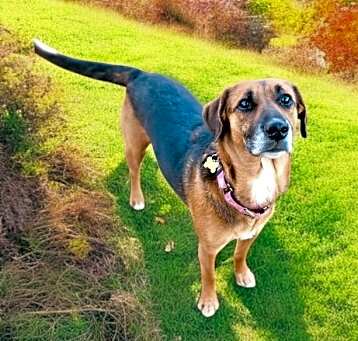 Photo of Zoe